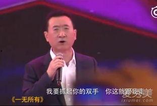 王健林爆料完整视频,揭秘商业帝国背后的真实故事  第2张